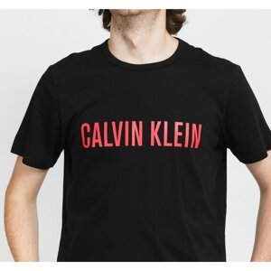 Calvin Klein Men's T-Shirt Black (NM1959E-XY8)