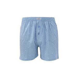 Men's shorts Andrie gray (PS 5228 C)