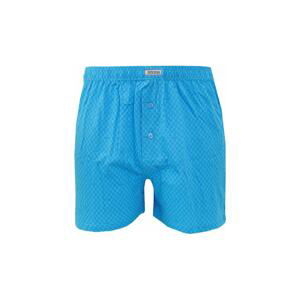 Andrie men's shorts turquoise (PS 5228 B)