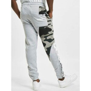 Sweat Pant DNGRS in grey