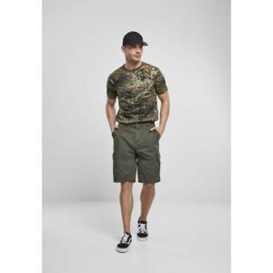 Ty Shorts Olive