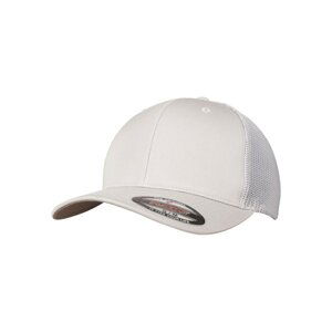 Mesh Trucker silver