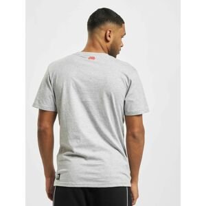 T-Shirt Boort in grey