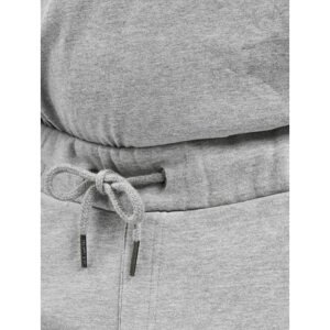 Sweat Pant Big Basic Fleece in grey