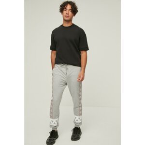 Trendyol Gray Men's Regular Fit Sweatpants