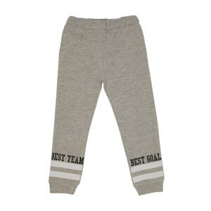 Trendyol Gray Stripe Detailed Boy Knitted Slim Sweatpants