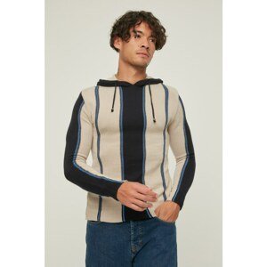 Trendyol Beige Men's Regular Fit Hooded Striped Sweater