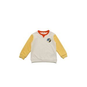 Trendyol White Color Block Embroidered Basic Boy Knitted Thin Sweatshirt