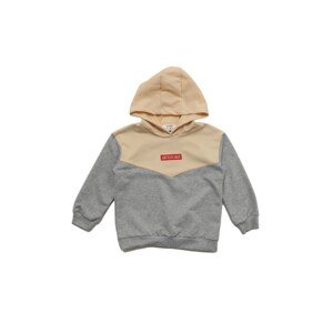 Trendyol Gray Printed Hoodie Boy Knitted Slim Sweatshirt