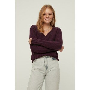 Trendyol Purple V Neck Knitwear Sweater