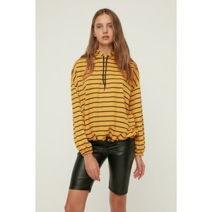 Trendyol Mustard Striped Basic Hoodie Slim Sweatshirt