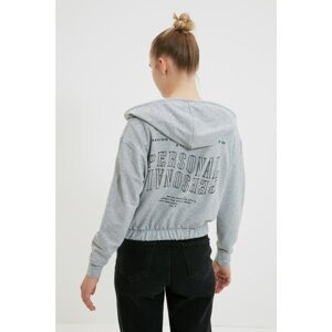 Trendyol Gray Printed Back Basic Hooded Slim Knitted Sweatshirt