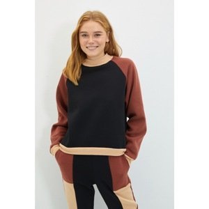 Trendyol Multicolored Stand Collar Color Block Basic Raised Knitted Sweatshirt