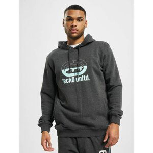 Hoodie Ec Ko in grey