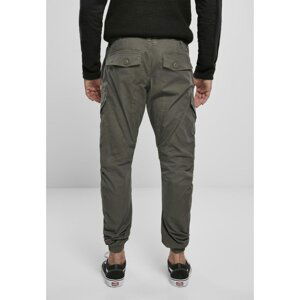 Ray Vintage Olive Pants