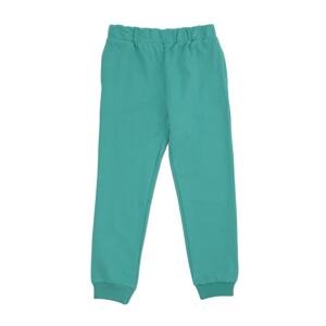 Trendyol Sweatpants - Green - Straight