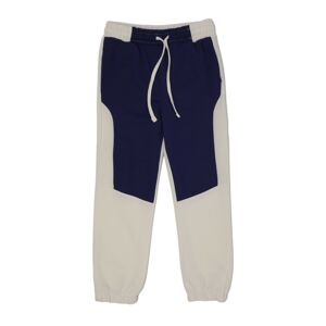 Trendyol Blue Color Block Boy Knitted Slim Sweatpants