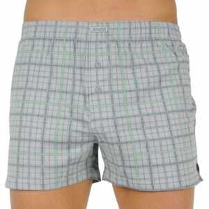 Men's shorts Andrie gray (PS 5560 D)