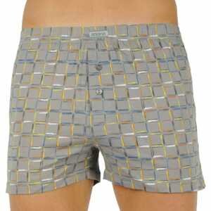 Men's shorts Andrie gray (PS 5562 D)
