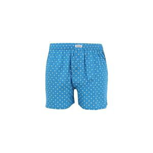 Men's shorts Andrie blue-green (PS 5456 D)