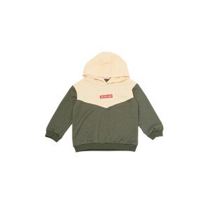 Trendyol Khaki Printed Hoodie Boy Knitted Thin Sweatshirt