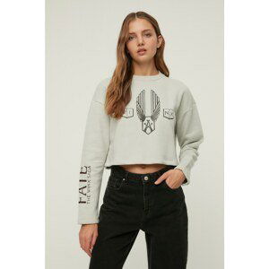 Trendyol Multi Color Winx Fate Licensed Printed Crop Knit Raised Sweatshirt