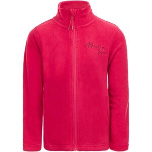 Alpine Pro Sweatshirt Cepto - Kids