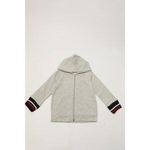 Trendyol Gray Hooded Zipper Boy Knitted Thin Cardigan