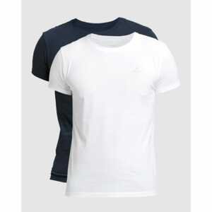 2PACK men's t-shirt Gant blue / white (901002108-109)