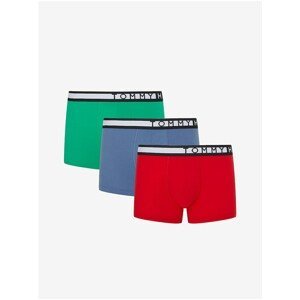 3PACK men's boxers Tommy Hilfiger multicolored (UM0UM02202 0RX)