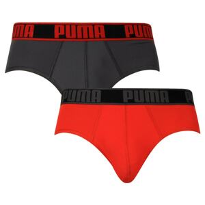 2PACK men's briefs Puma sports multicolor (671021001 015)