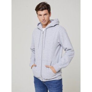 Big Star Man's Zip hoodie Sweat 171496 Grey-901