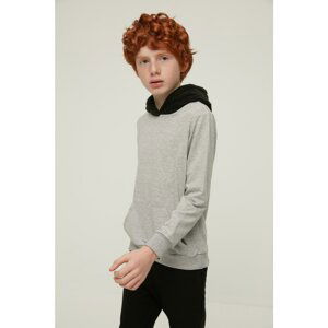 Trendyol Gray Hoodie Boy Knitted Sweatshirt