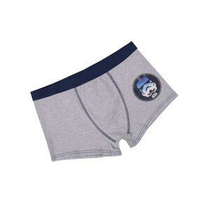 Top Secret MEN'S BOXER BRIEFS