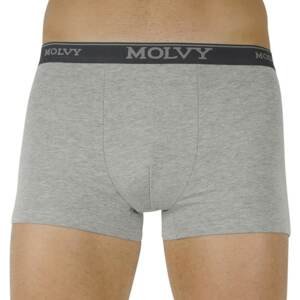 Men's boxers Molvy light gray