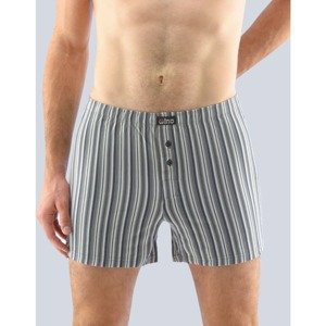 Men's shorts Gino gray (75165)