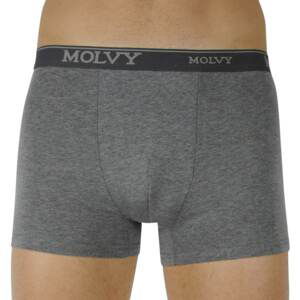 Men's boxers Molvy gray (MP-969-BEU)