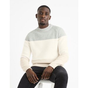 Celio Sweater Veribig - Men