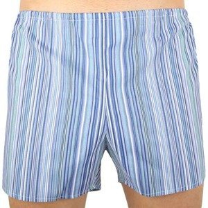 Classic men's shorts Foltýn blue stripe