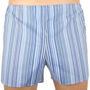 Classic men's shorts Foltýn blue stripe oversized