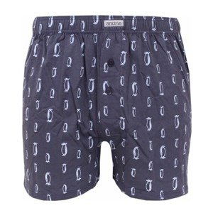 Men's shorts Andrie gray (PS 5579 B)