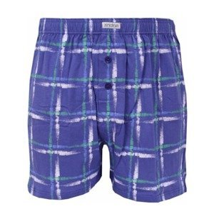 Men's shorts Andrie blue (PS 5565 A)