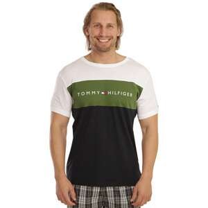 Tommy Hilfiger Men's Multicolored T-Shirt (UM0UM01170 MS1)