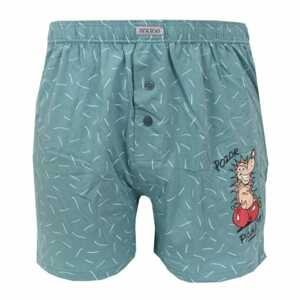 Men's shorts Andrie green (PS 5557 A)