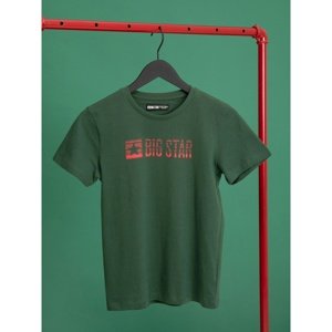 Big Star Man's T-shirt_ss T-shirt 152107 Light green Knitted-304