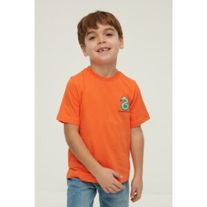 Trendyol Orange Printed Boy Knitted T-Shirt