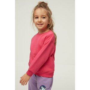 Trendyol Fuchsia Basic Fleece Inside Girl Knitted Thick Sweatshirt