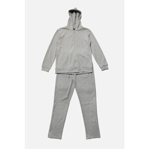 Trendyol Sweatsuit - Gray - Regular