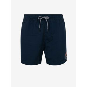 Superdry Swimwear Tri Series Swim Short - Men