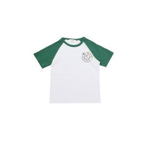 Trendyol Green Raglan Sleeve Boy Knitted T-Shirt